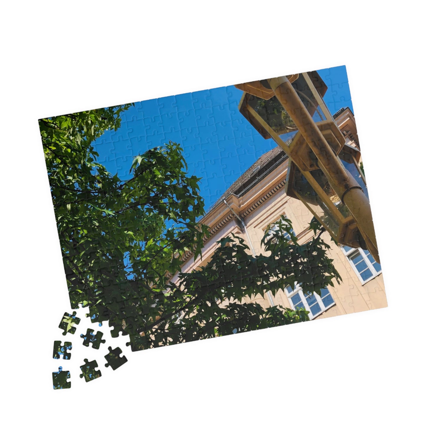 Puzzle (110, 252, 520, 1014-piece)